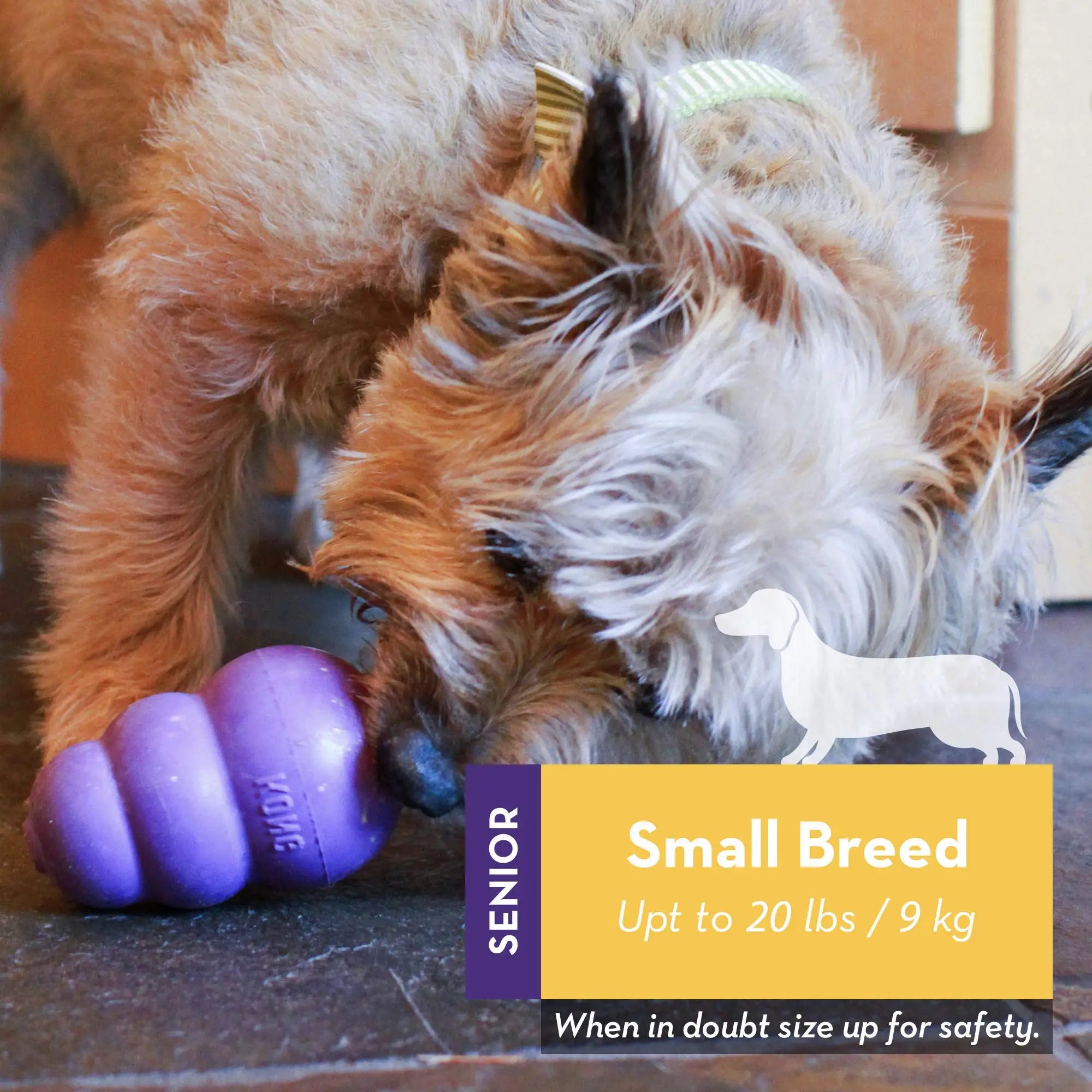 KONG Rubber Chew Toy – Gentle, Durable & Stuffable Treat Dispenser