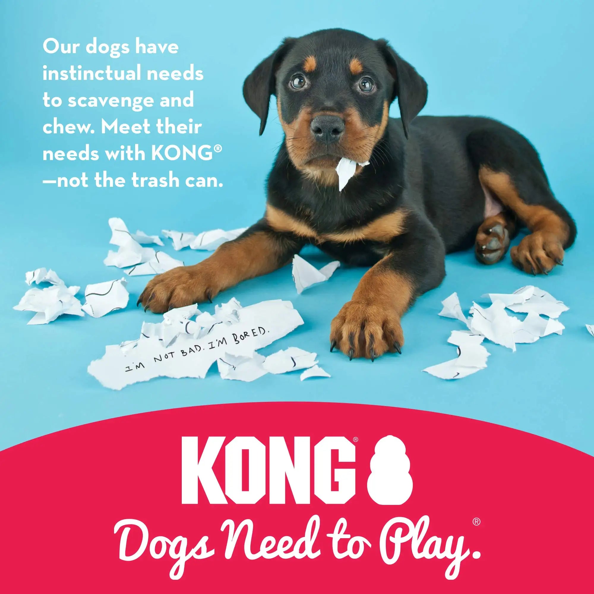 KONG Rubber Chew Toy – Gentle, Durable & Stuffable Treat Dispenser