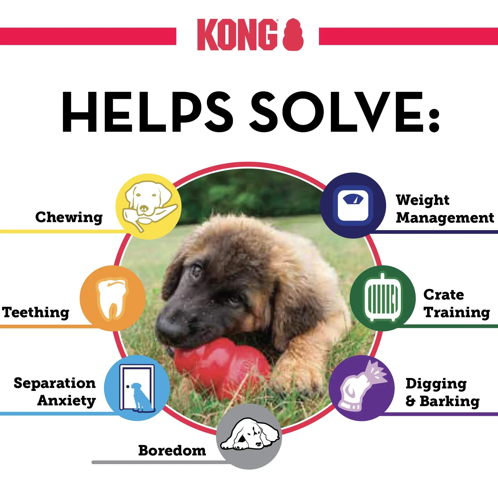 KONG Rubber Chew Toy – Gentle, Durable & Stuffable Treat Dispenser