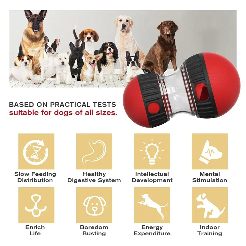Interactive Food-Dispensing Puzzle to Boost Pet Intelligence