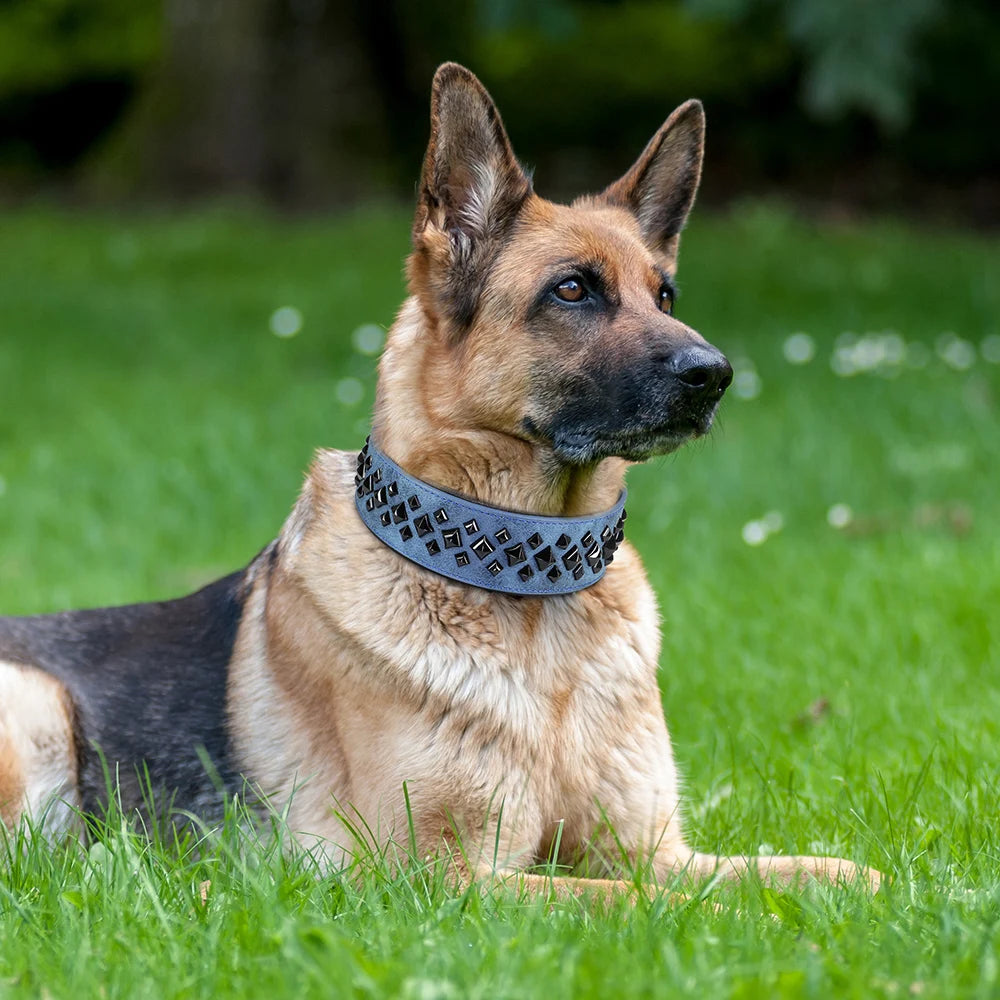 Studded Leather Dog Collar – Strong, Adjustable Collar for Large Breeds