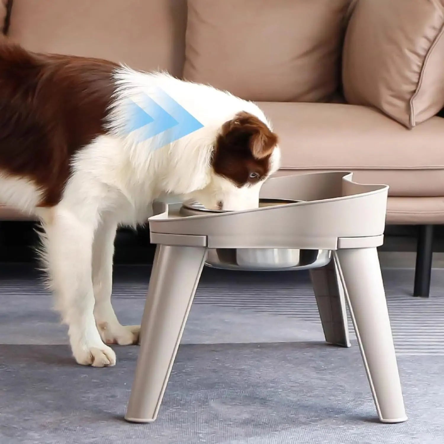 Elevated Dog Feeder with Stand